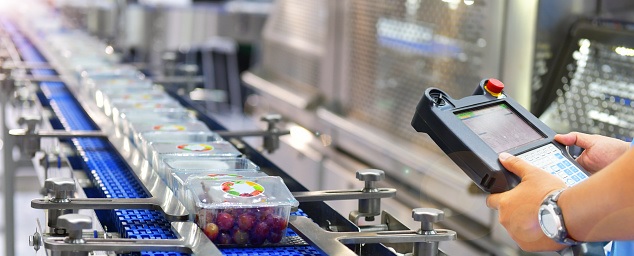 TRAINING BELT CONVEYOR; TECHNOLOGY, DESIGN CALCULATION & TROUBLESHOOTING